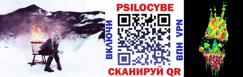 Галлюциногенные грибы Psilocybine cubensis  Нижний Новгород 